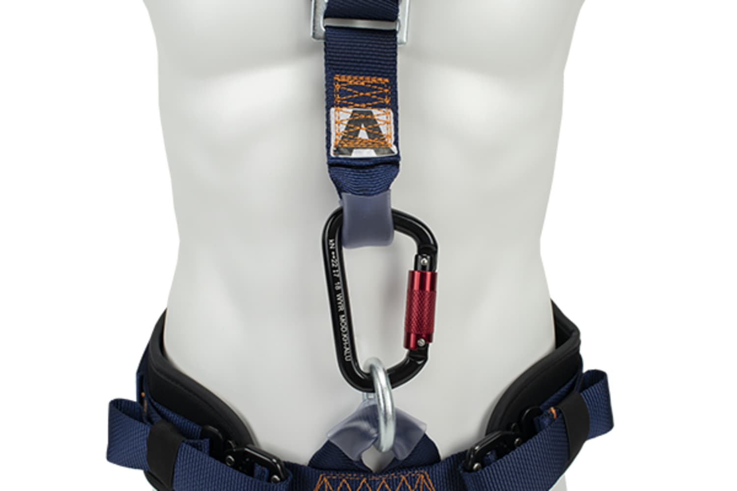 Anneau ventral